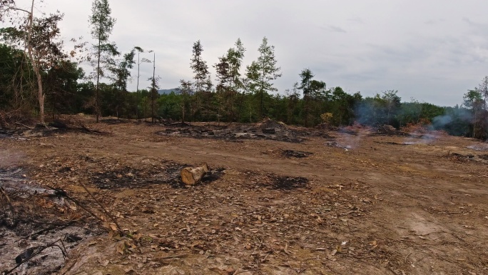 森林火灾雨林森林砍伐烟雾刀耕火种