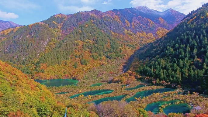 航拍九寨沟树正群海美丽秋色