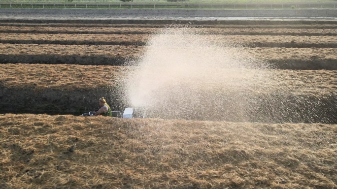 园艺工人园艺工人机械浇水灌溉