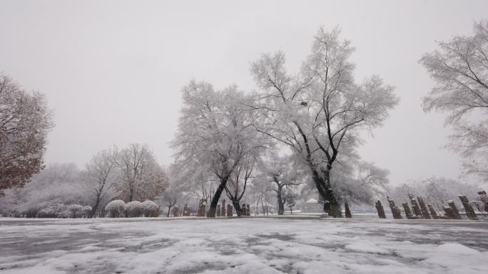 冰雪 山水中国 雪乡 银色世界