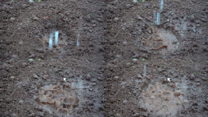 慢镜头-农田土地浇水灌溉-水流滴入穴中