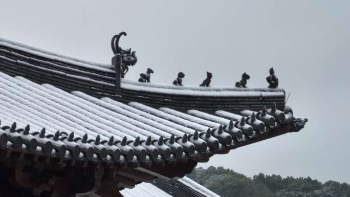 航拍杭州德寿宫雪景