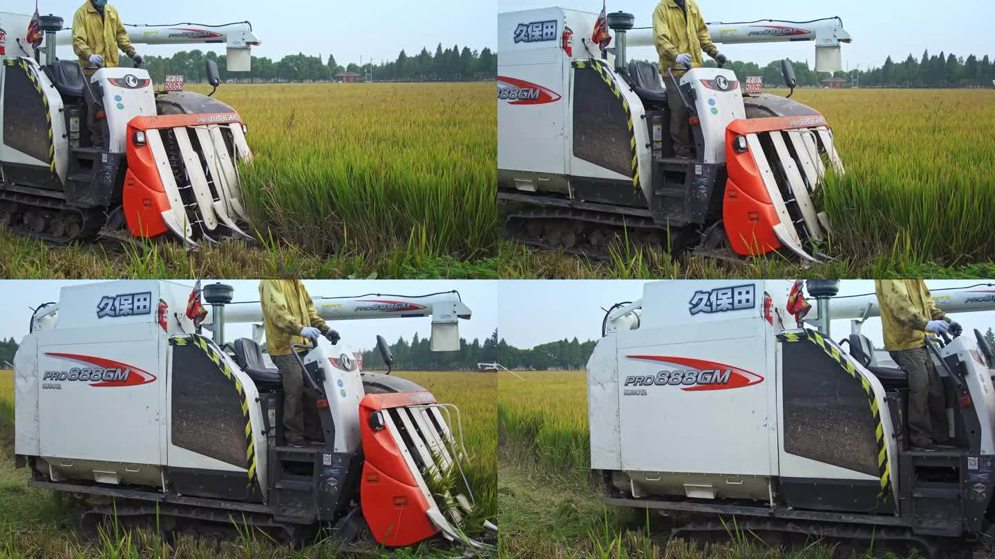 收割机水稻谷物丰收粮食大米