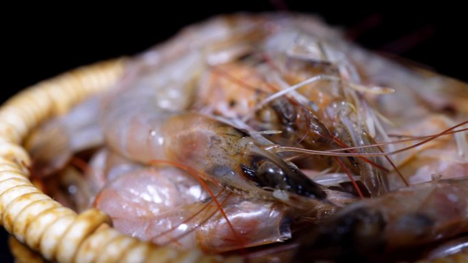 小河虾鲜虾大虾淡水虾食材海鲜