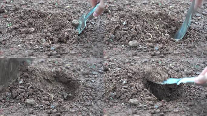 4K手持铲子挖土挖坑准备种植特写镜头