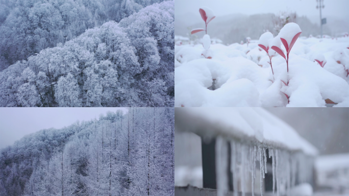 光雾山初雪多角度航拍特写合集4K