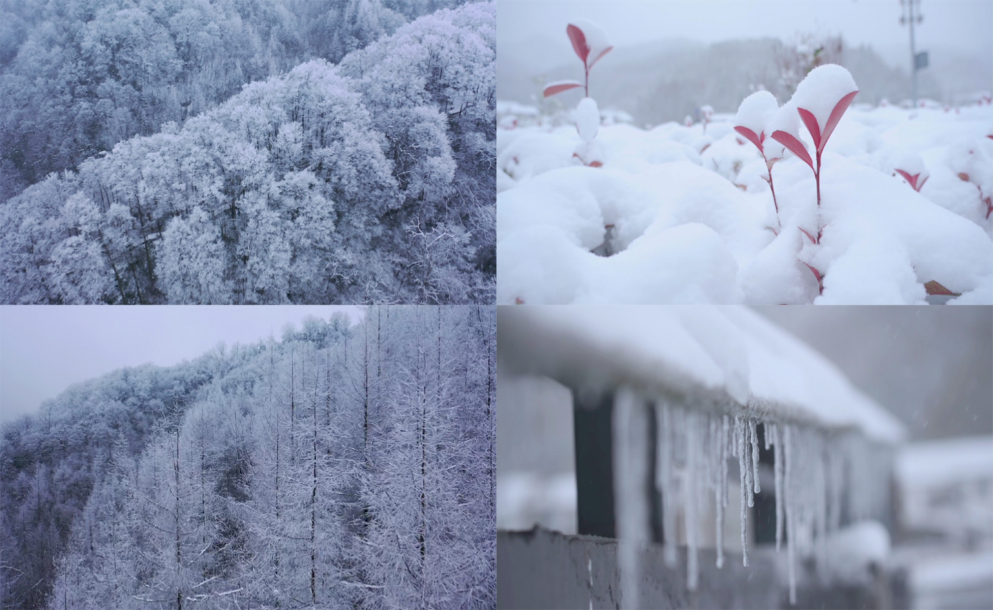 光雾山初雪多角度航拍特写合集4K