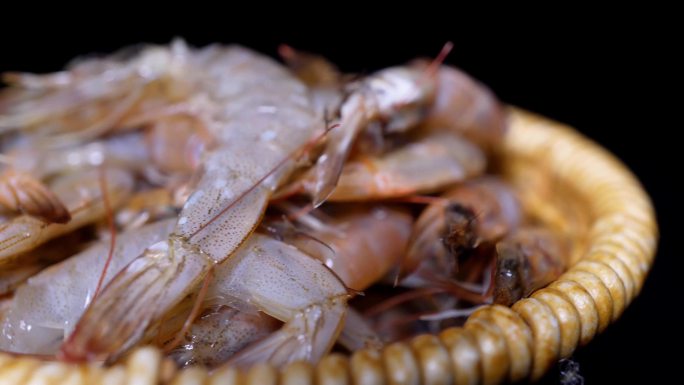 小河虾鲜虾大虾淡水虾食材海鲜