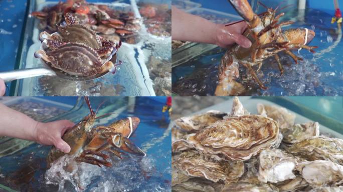捞活海鲜 龙虾 螃蟹 鱼 牡蛎