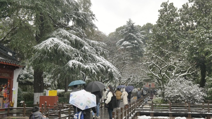 杭州冬天雪景