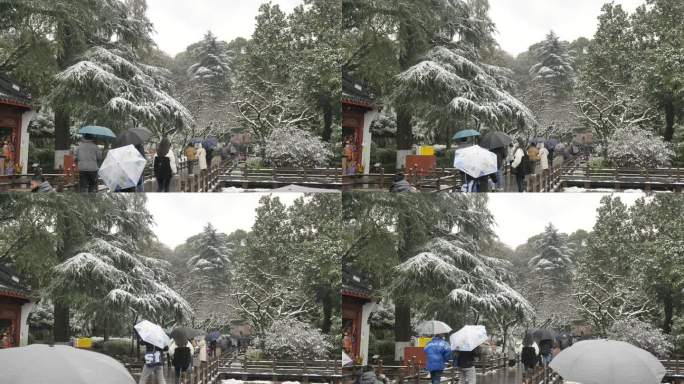 杭州冬天雪景