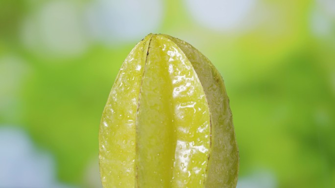 下雨与杨桃阳桃水果食材