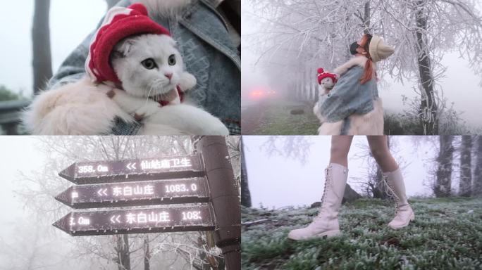 东阳东白山雾松美女猫咪下雪