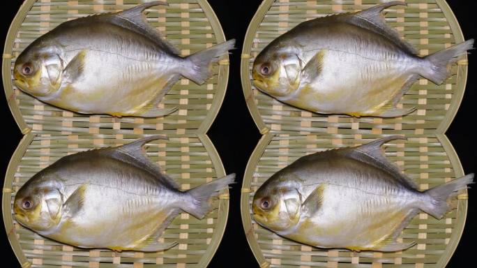 平鱼金鲳鱼金昌鱼海鲜鱼类