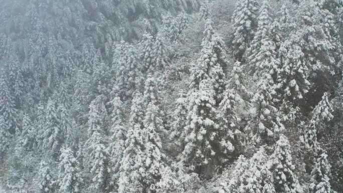 山区山林大雪航拍