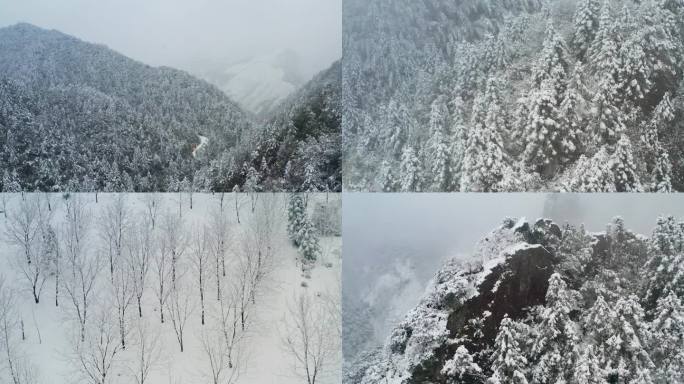 山区山林大雪航拍