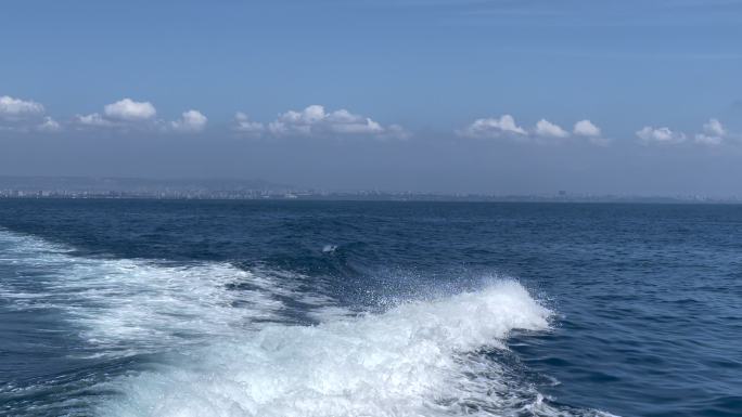 海豚在船后跳跃三亚厦门青岛风景海南海岛