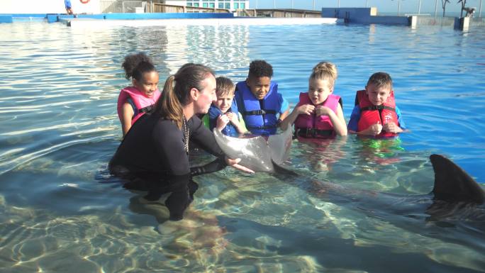 儿童在海洋教育公园与海豚，教练