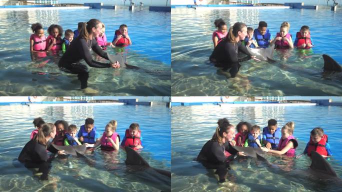 儿童在海洋教育公园与海豚，教练