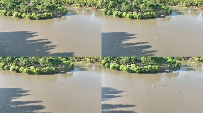 4K原素材-航拍上海野生动物园、水禽湖