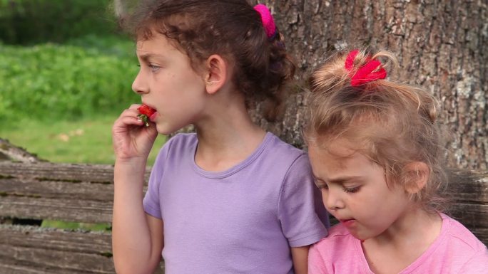 两个小女孩坐在公园的长椅上吃草莓