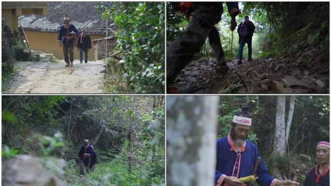 金秀坳瑶族上山砍树传统习俗风俗