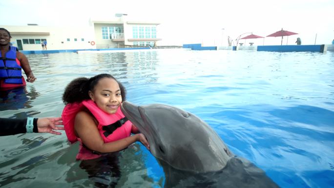 水中的小女孩给海豚一个吻