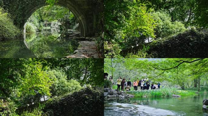 4K柳浪闻莺 太子湾