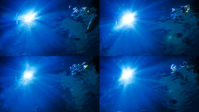 阳光透过水下和热带鱼