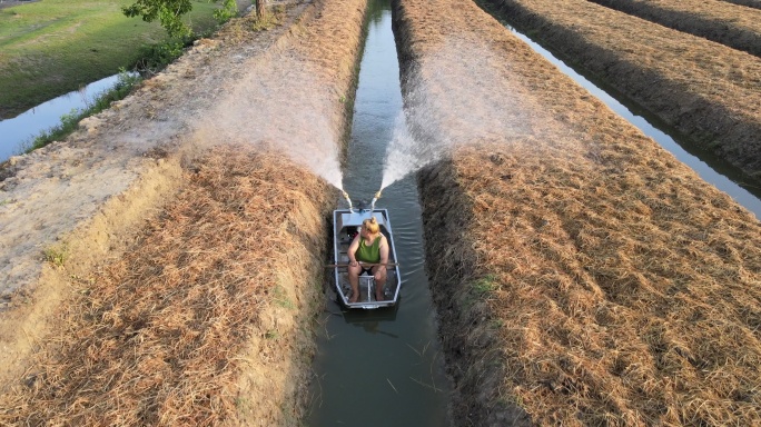 园艺工人实拍灌溉浇水