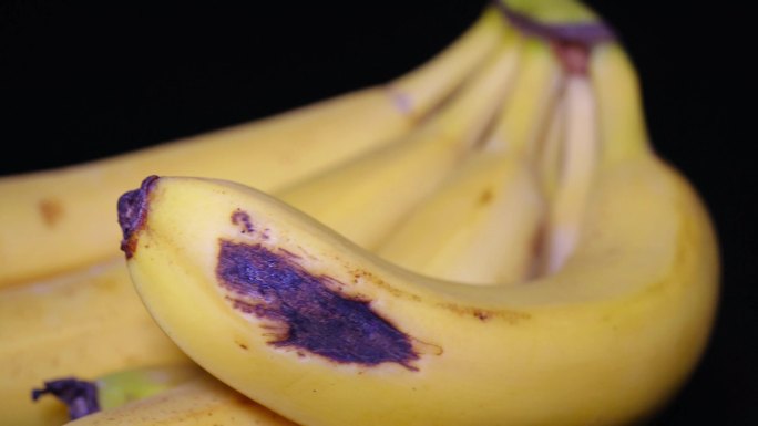 香蕉水果热带芭蕉