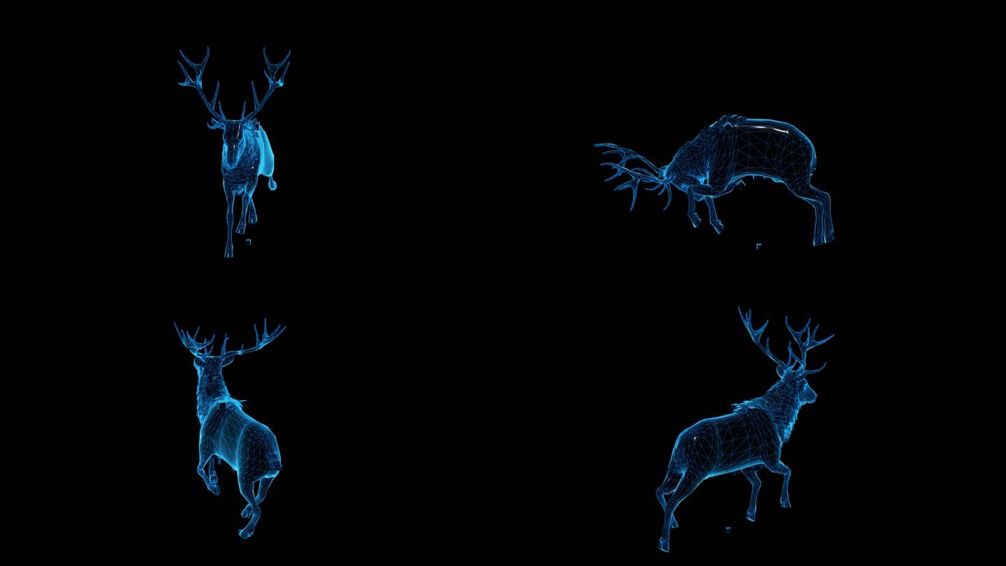 蓝色科技线条麋鹿行走动画通道素材