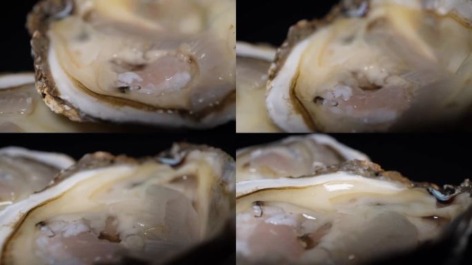 海蛎子打开的生蚝牡蛎海洋牛奶