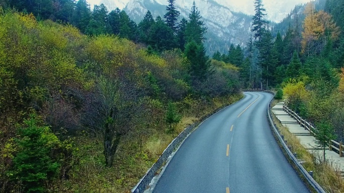 九寨沟景区日则沟公路美丽秋色