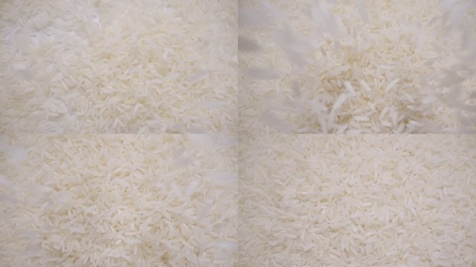 茉莉花米掉到堆里优选优质大米粮食