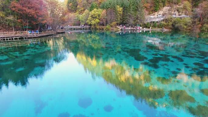 九寨沟风景区日则沟五花海秋色长镜头航拍