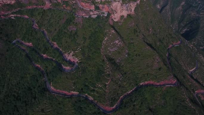 旅行原始森林意境空气仇池山Y