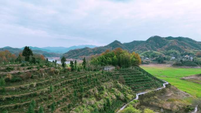 茶茶园茶山茶谷风光、茶文化主题公园