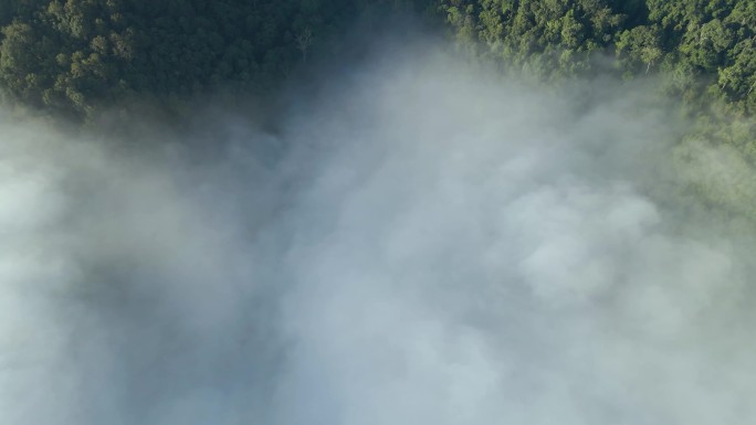 4K西双版纳热带雨林云海航拍