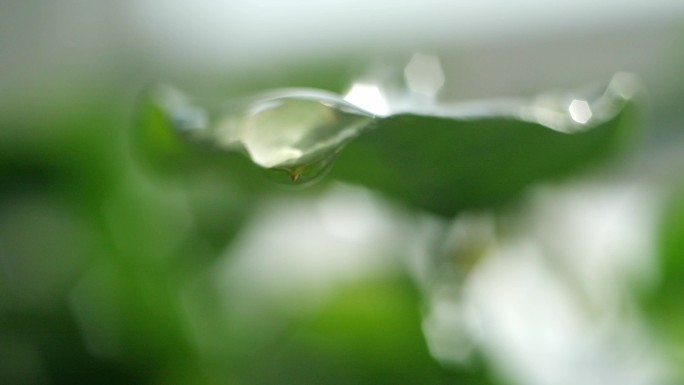 雨珠滴落