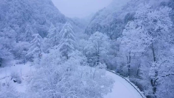 大山里的马路雪景