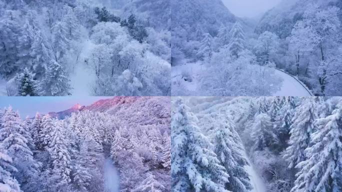 大山里的马路雪景