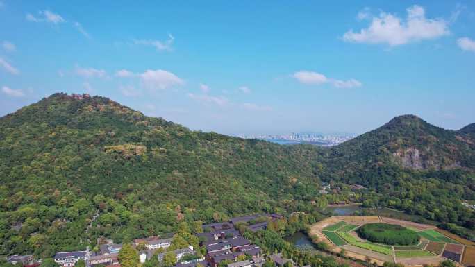 西湖 八卦田大全景