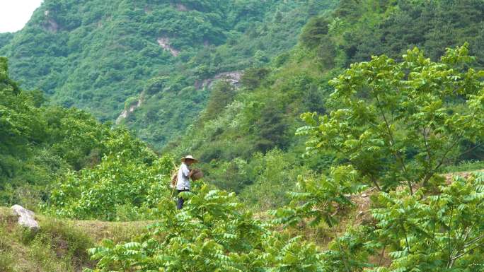 艺术家爬山在大山里走路寻找道具4