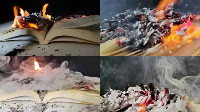 纸燃烧销毁化为灰烬悬疑案线索恐怖残存记忆