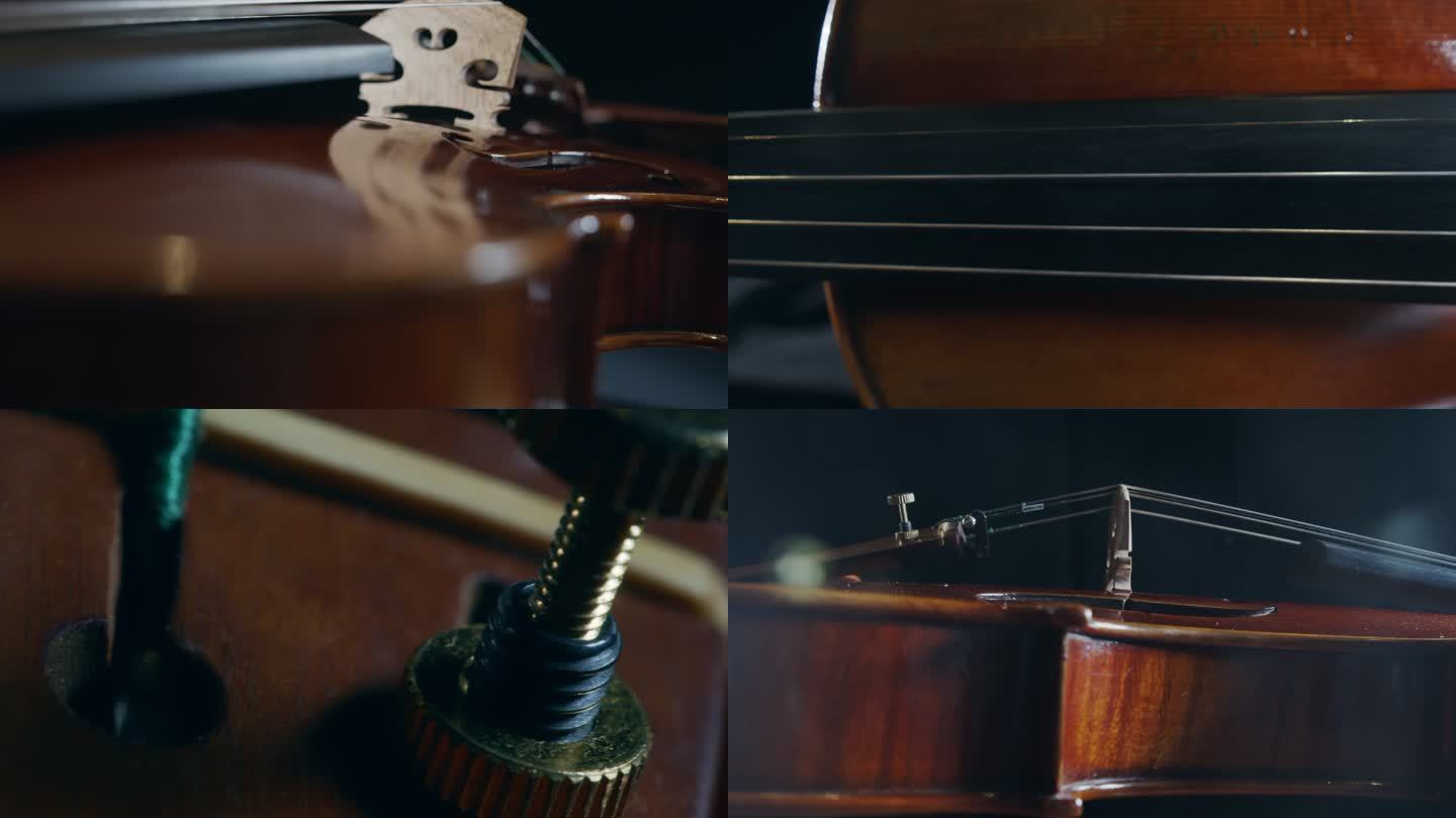 小提琴多角度细节展示