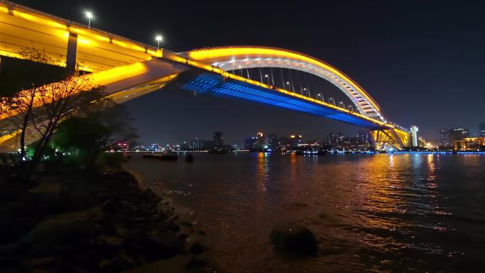 上海浦东新区卢浦大桥岸边夜景全景视频4K