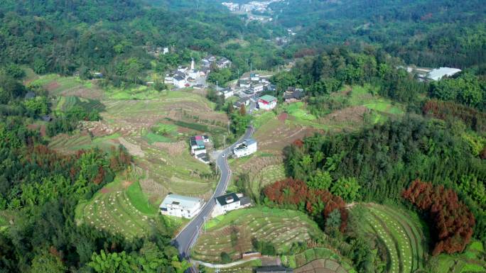 农村环境航拍 优美生态小山村