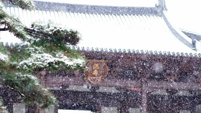 下雪大雪纷飞江南园林古建筑升格慢镜头