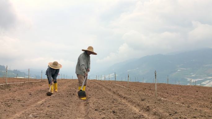 亚洲男农民用锄头在山上挖泥土